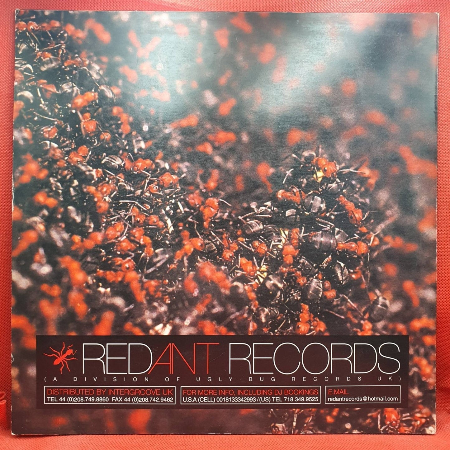 Pete Bones – Solo - Vinyl Store Online
