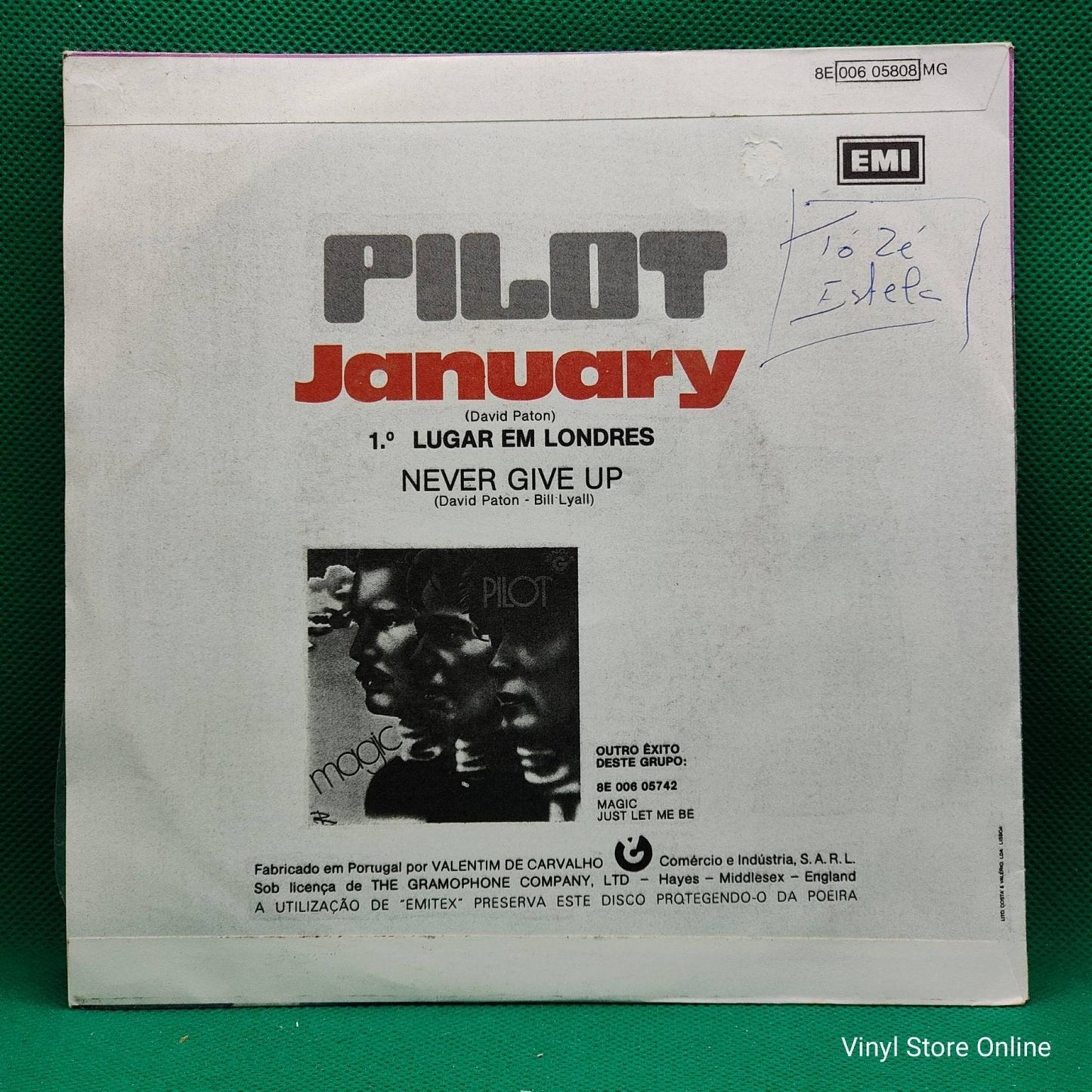 Pilot – January - Vinyl Store Online