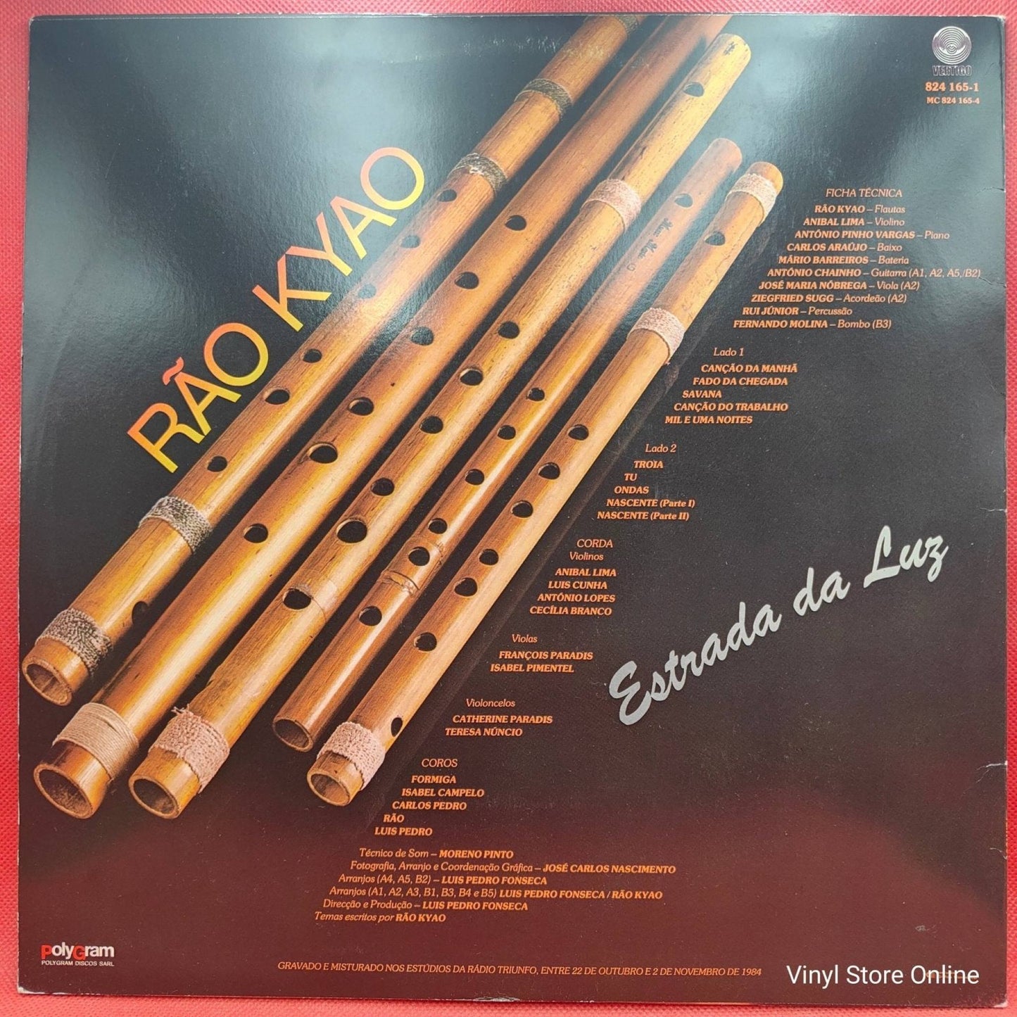 Rão Kyao – Estrada Da Luz - Vinyl Store Online