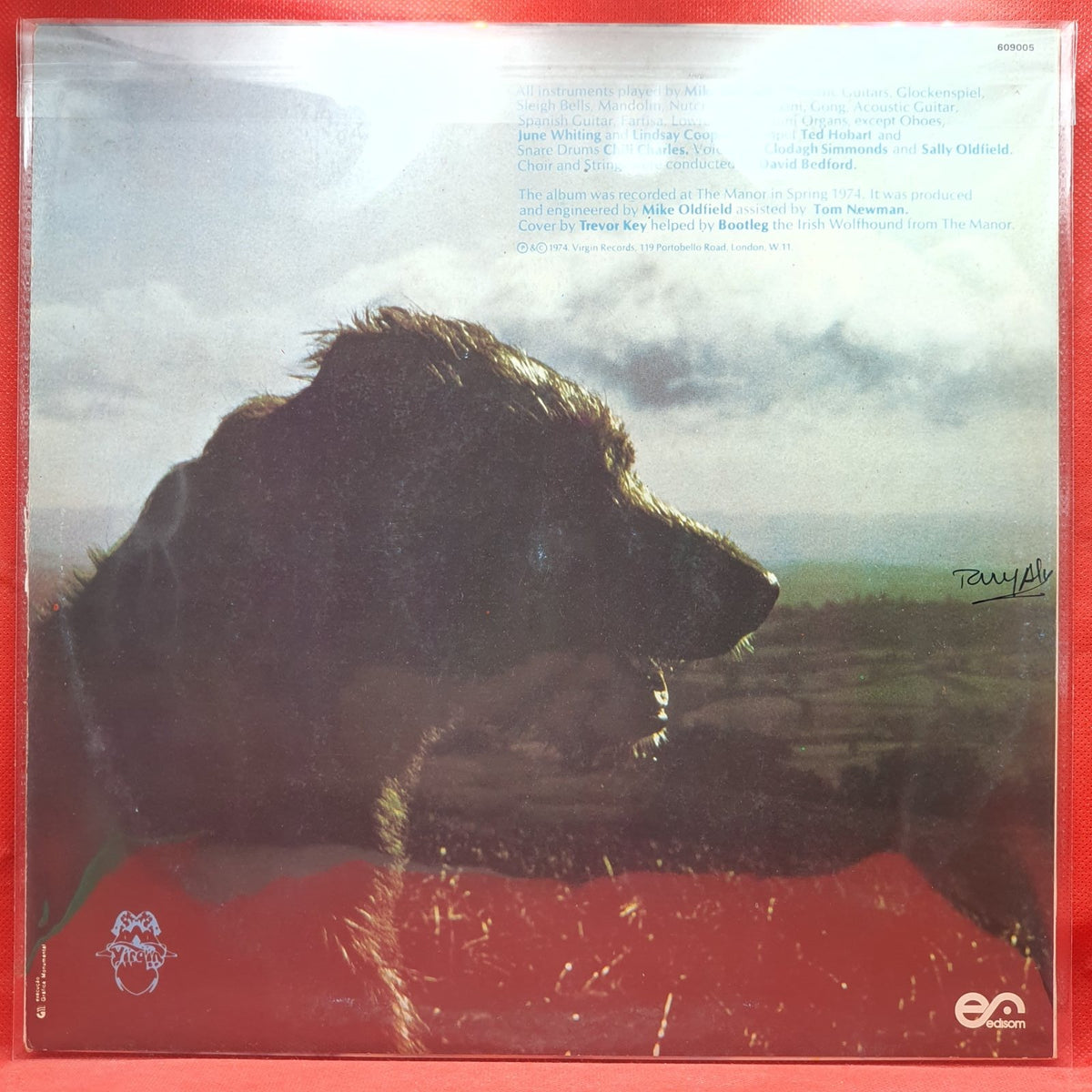 Mike Oldfield - Hergest Ridge (LP) · fotografia 2 · VSO#752-2027
