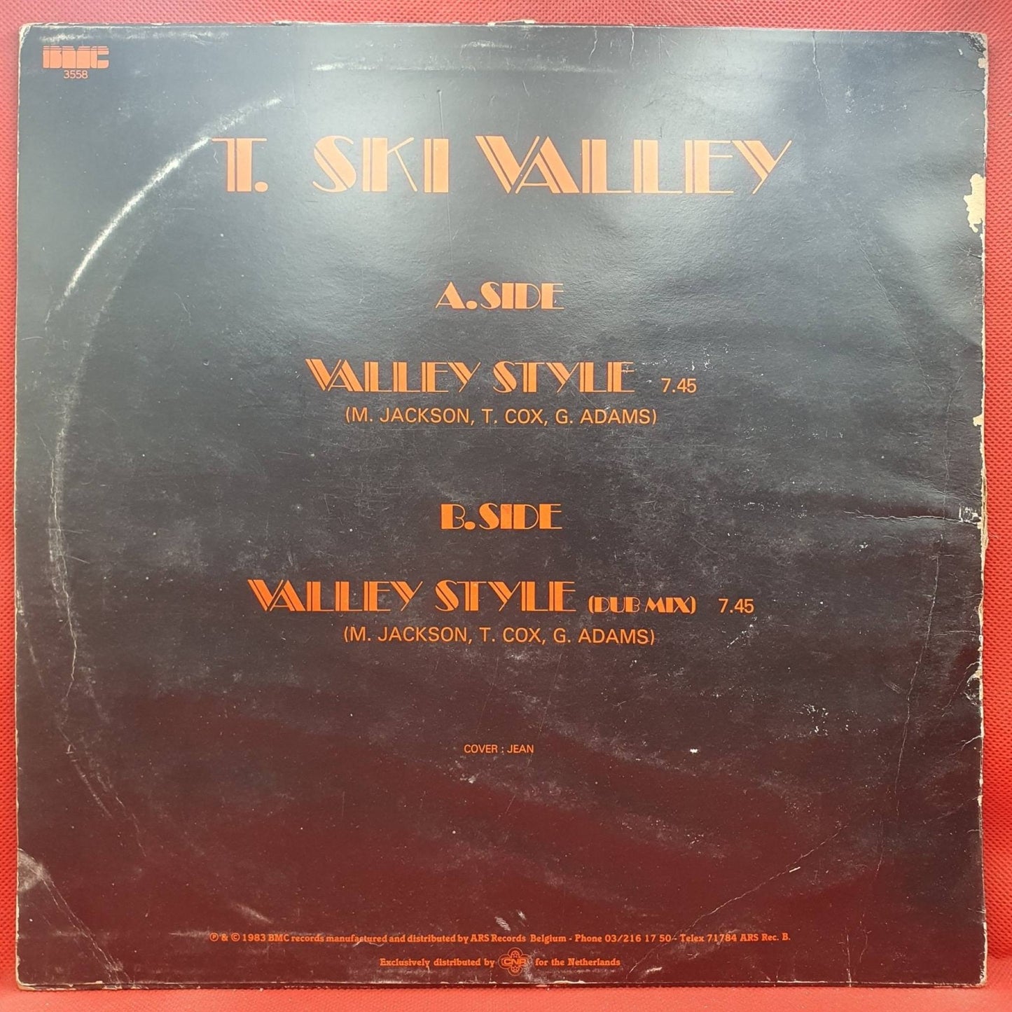 T - Ski Valley – Valley Style - Vinyl Store Online