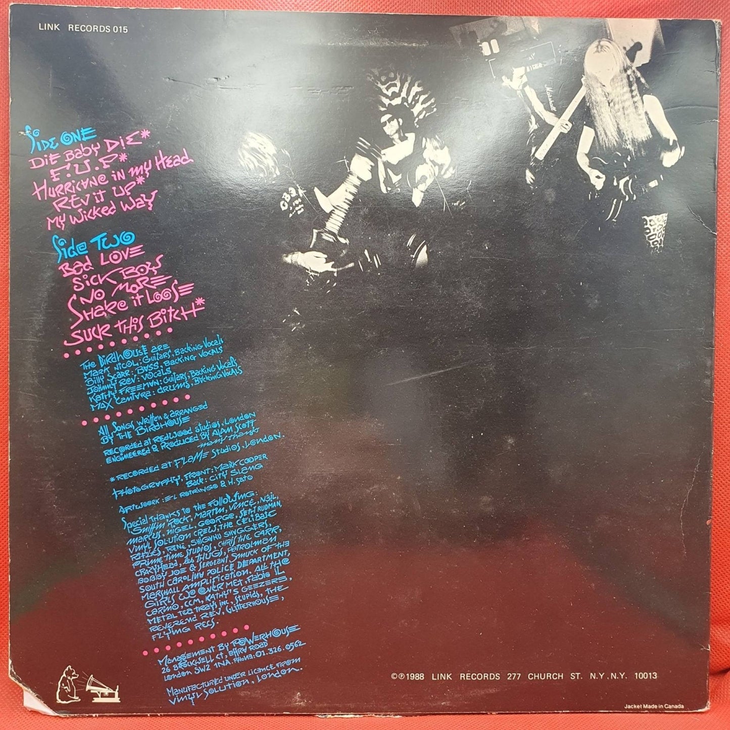 The Birdhouse – Burnin' Up - Vinyl Store Online