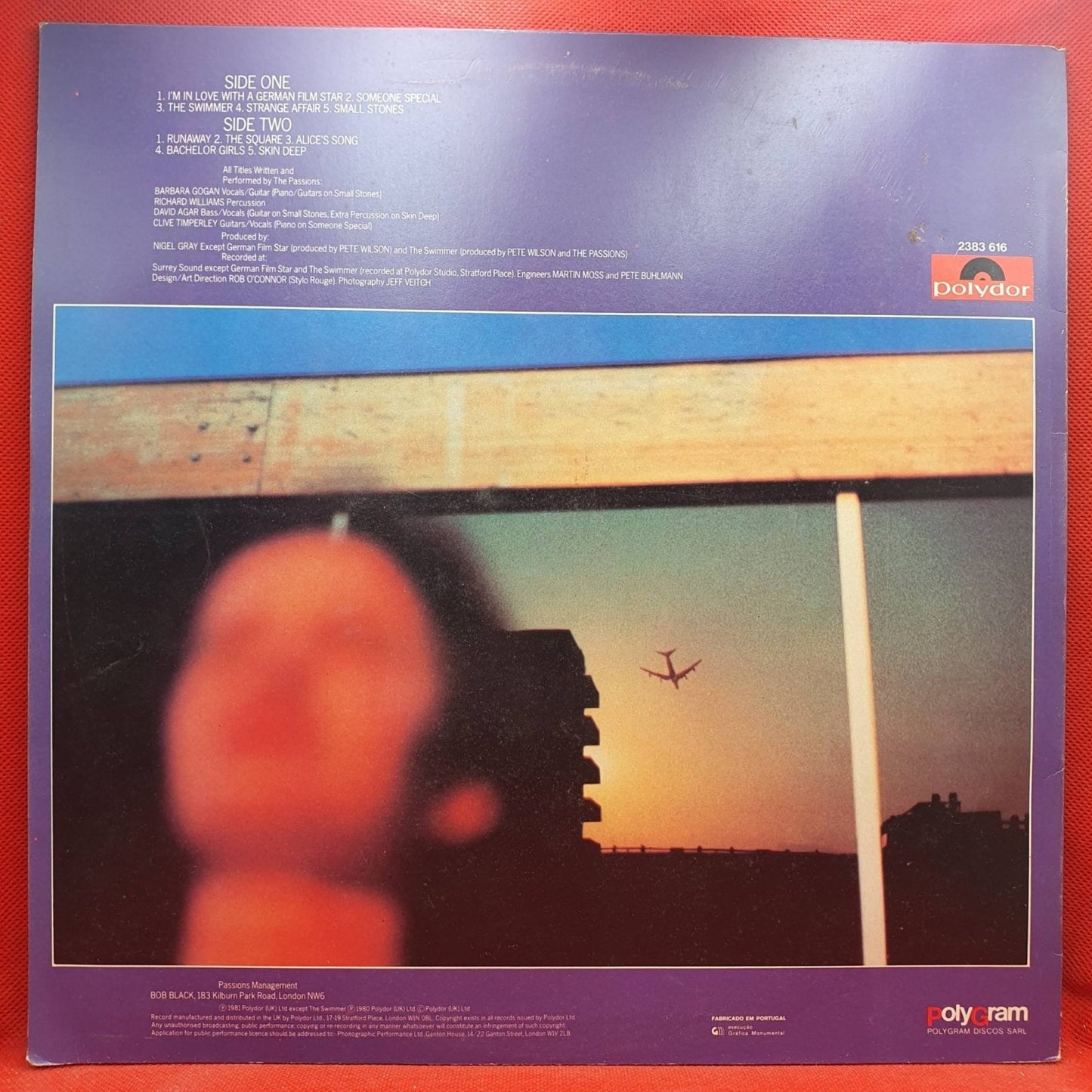The Passions – Thirty Thousand Feet Over China - Vinyl Store Online