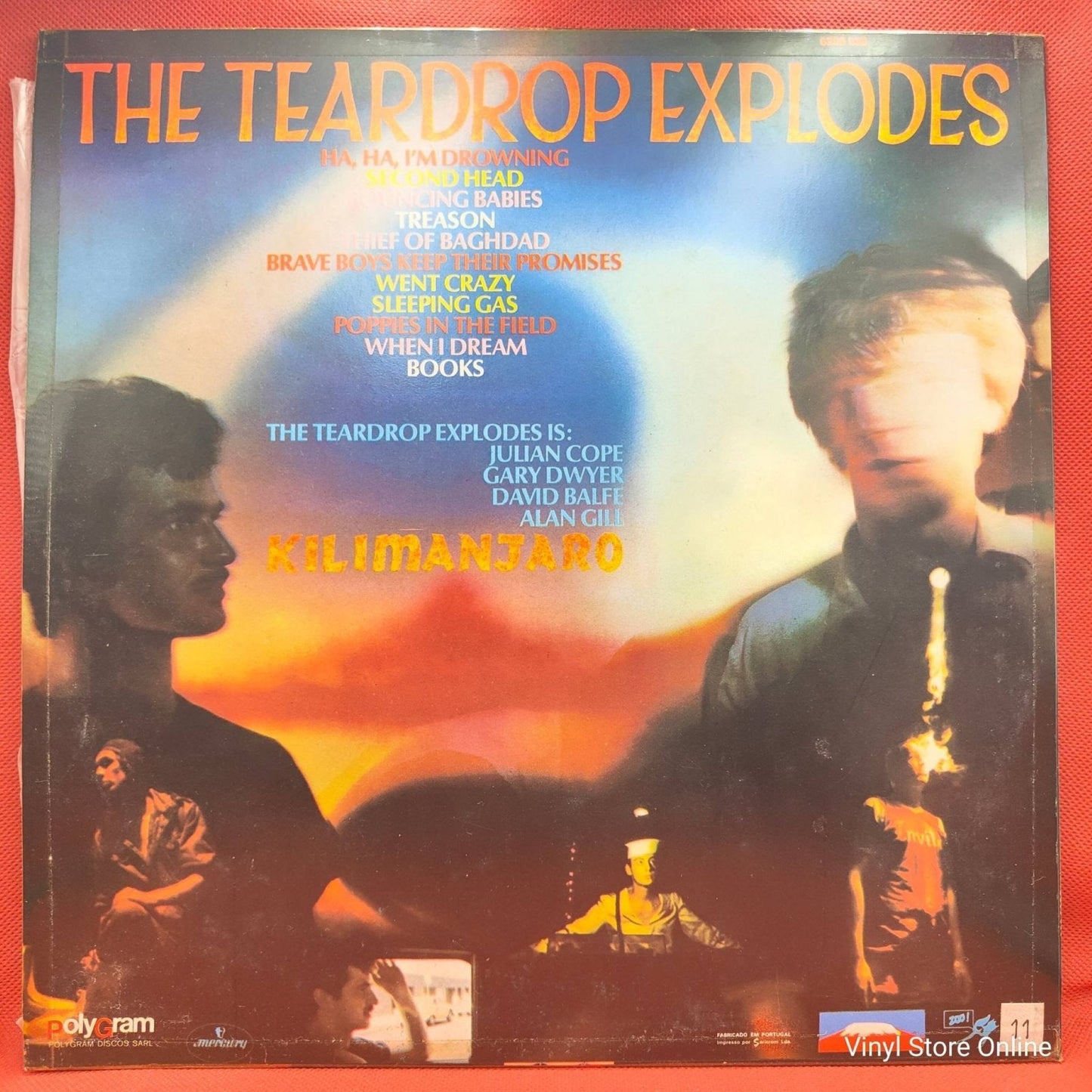 The Teardrop Explodes – Kilimanjaro - Vinyl Store Online