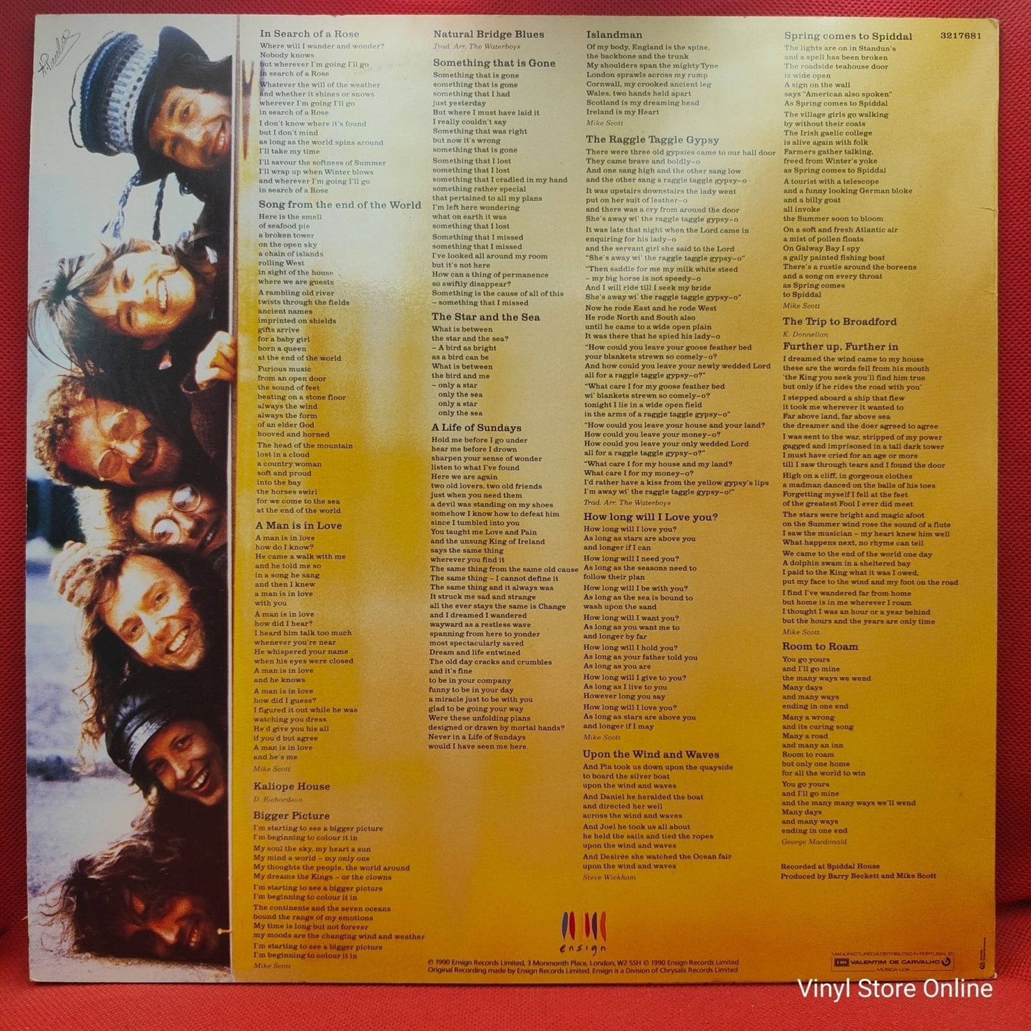 The WaterBoys – Room To Roam - Vinyl Store Online