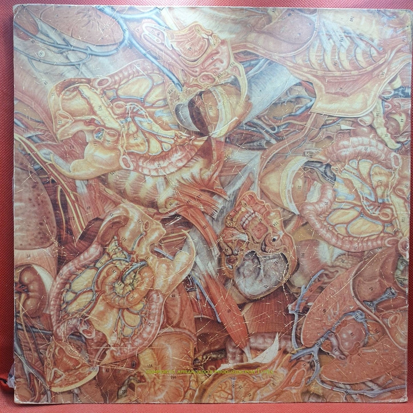 Titãs – Tudo Ao Mesmo Tempo Agora - Vinyl Store Online