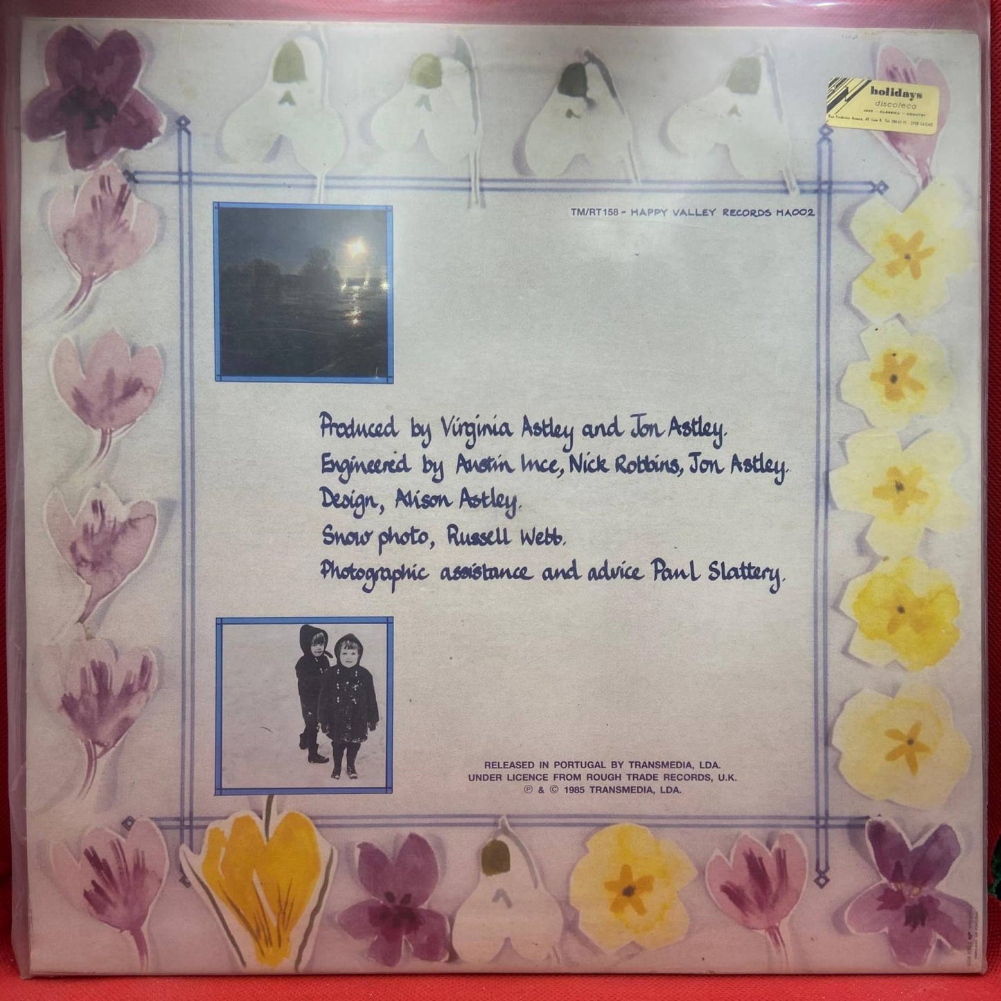 Virginia Astley – Melt The Snow - Vinyl Store Online
