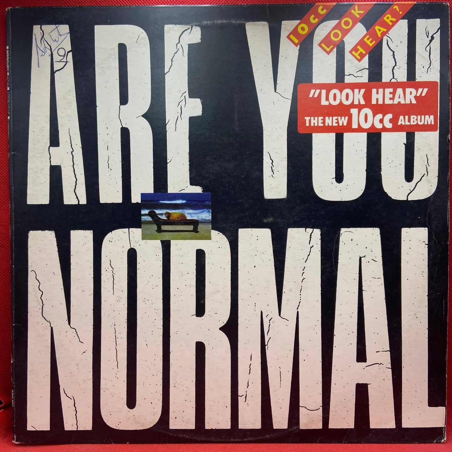 10cc ‎– Look Hear? - Vinyl Store Online