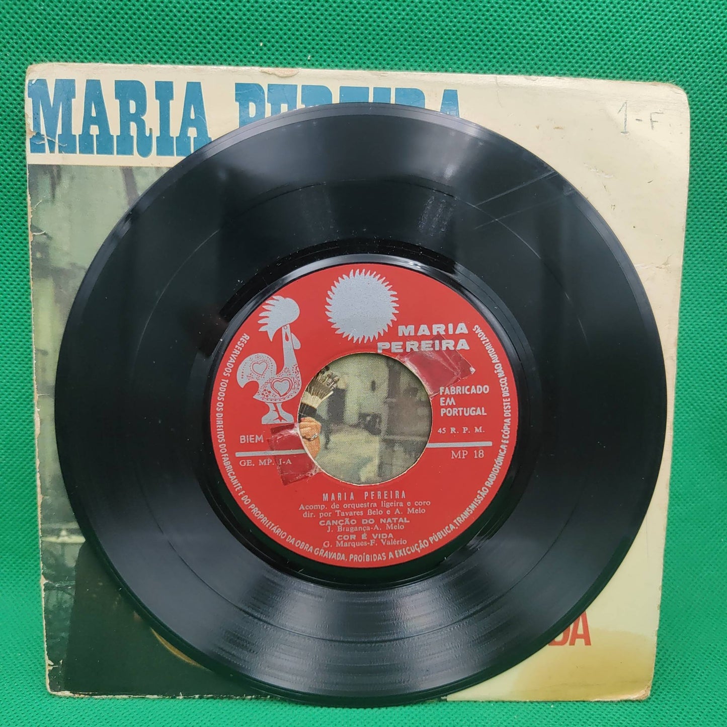 Maria Pereira - Cor é vida