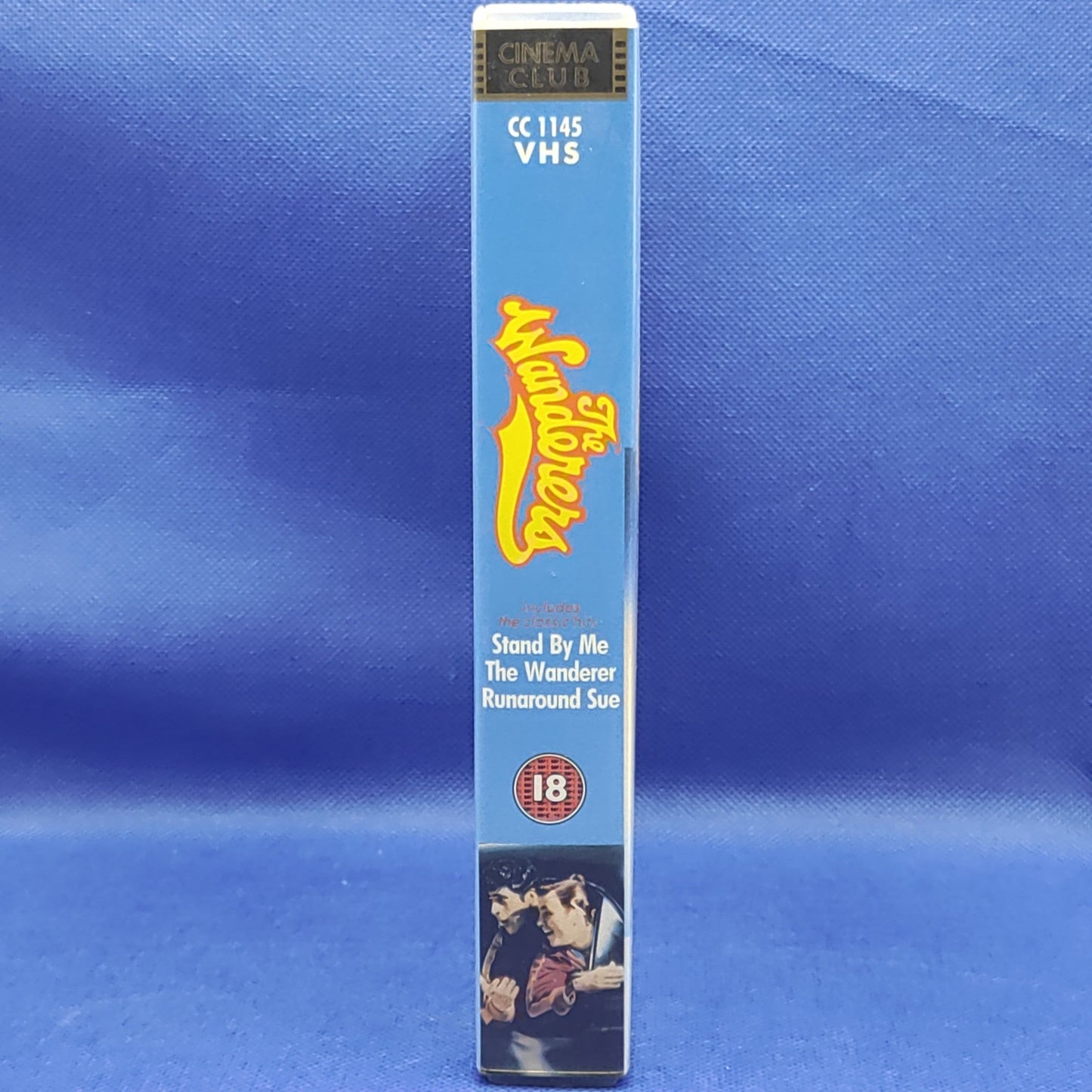 The Wanderers (includes the classic hits: Stand by me; the Wanderer; runaround Sue