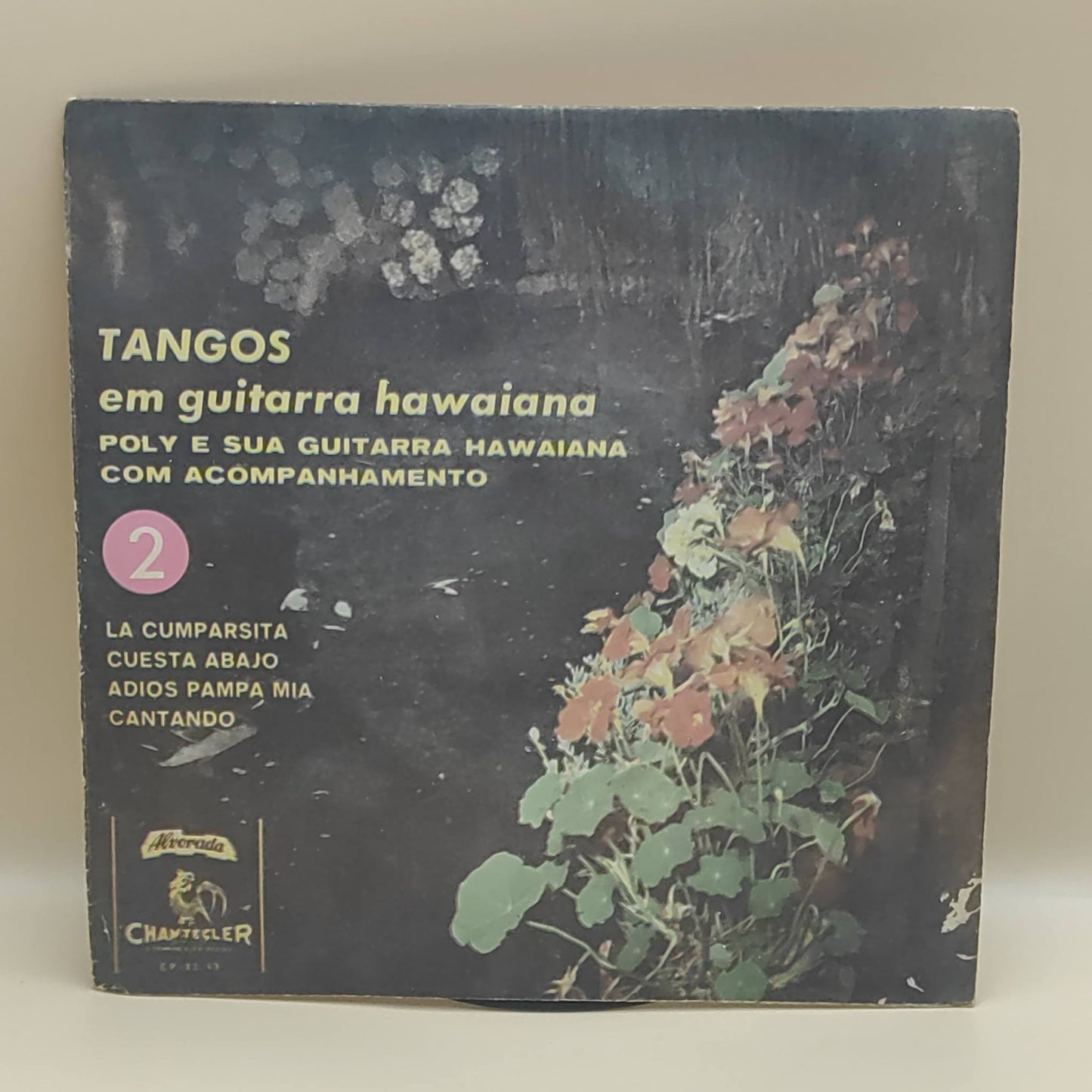 Poly E Sua Guitarra Hawaiana Com Acompanhamento* – Tangos Em Guitarra Hawaiana