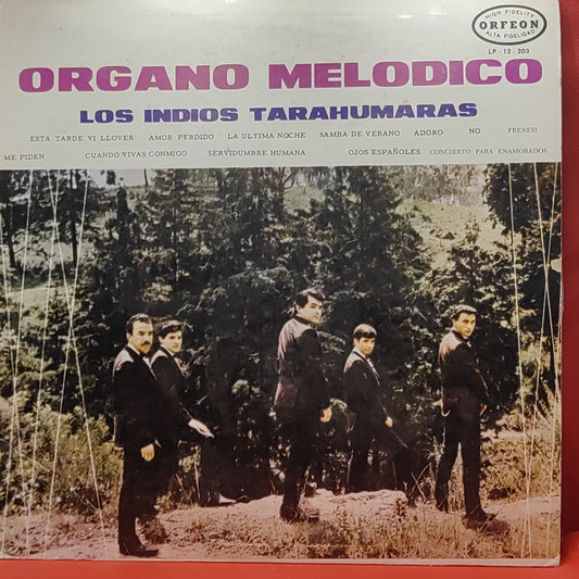 ORGANO MELODICO - LOS INDIOS TARAHUMARAS