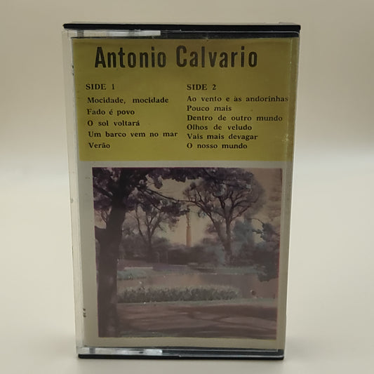 ANTÓNIO CALVÁRIO