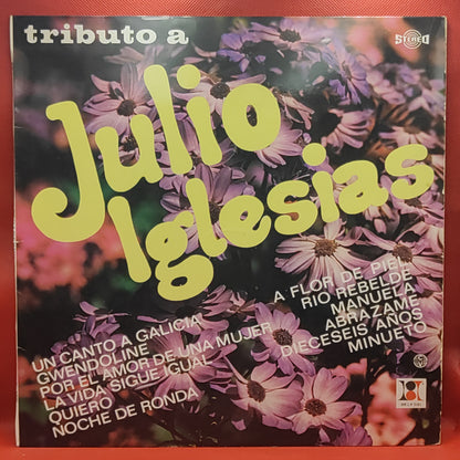 Unknown Artist – Tributo A Júlio Iglesias