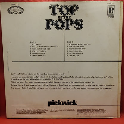 Unknown Artist – Top Of The Pops Vol. 31