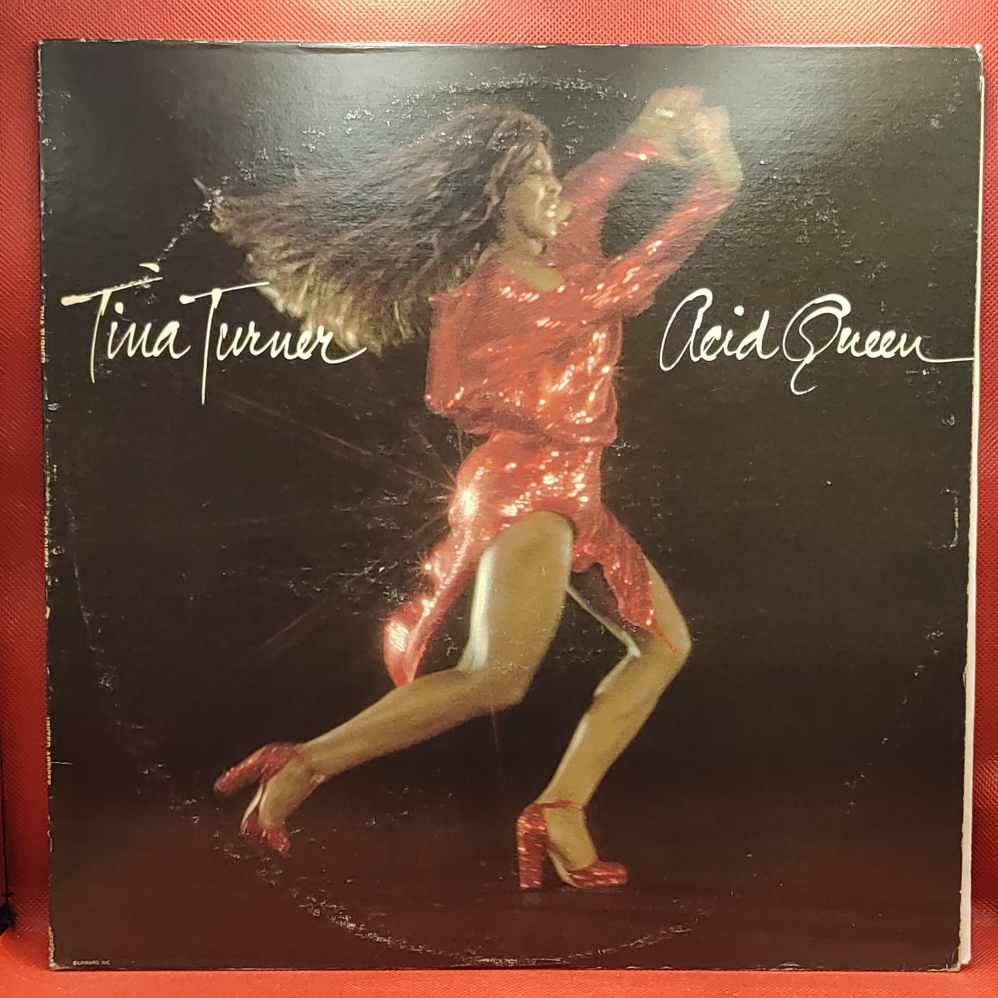 Tina Turner – Acid Queen