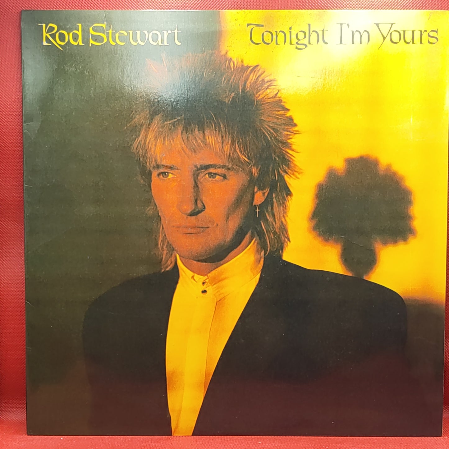 Rod Stewart – Tonight I'm Yours