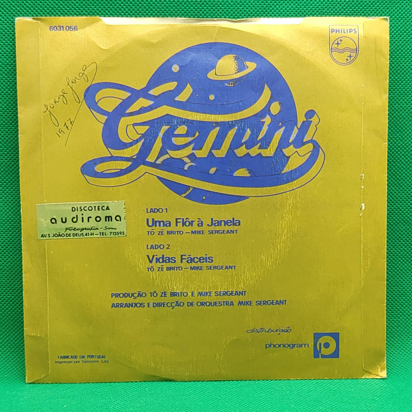 Gemini  – Uma Flôr À Janela