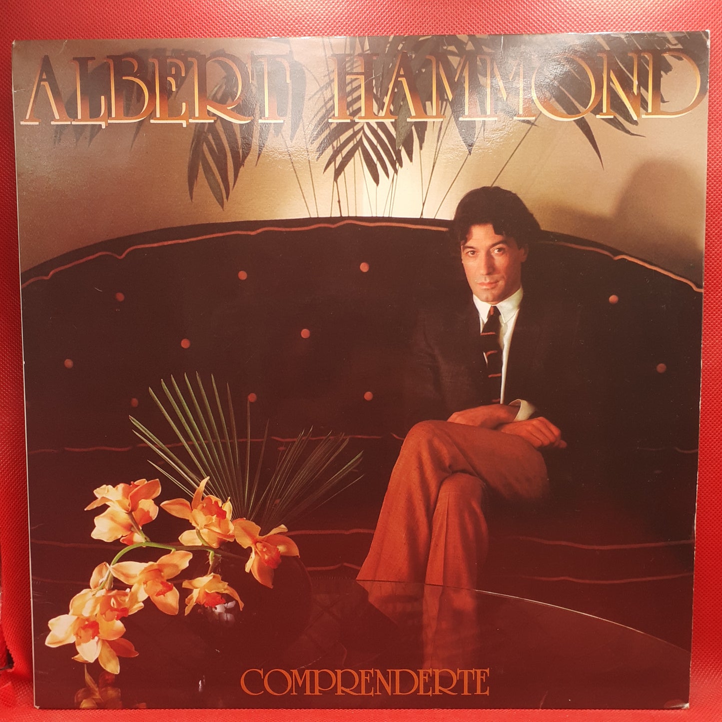 Albert Hammond ‎– Comprenderte