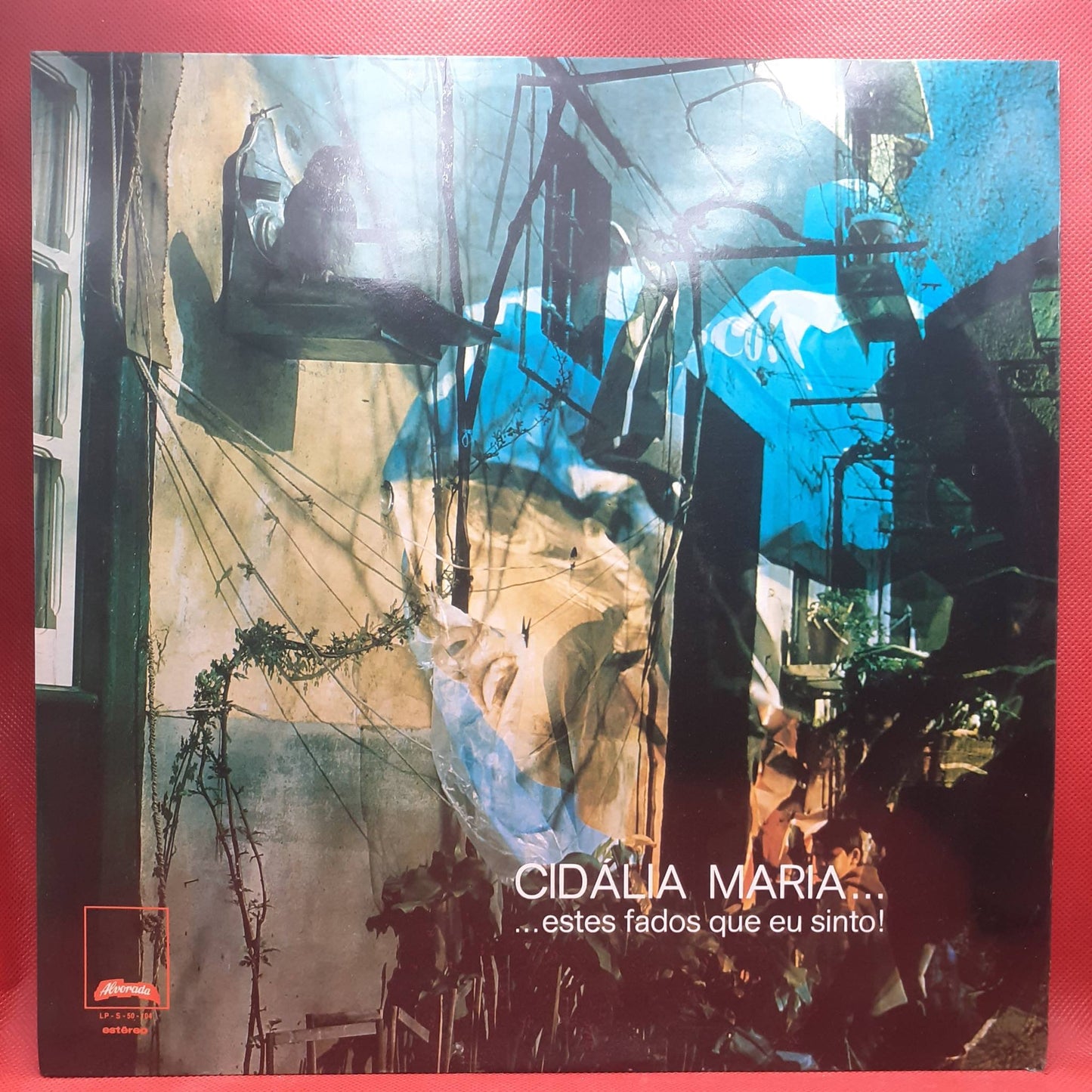 Cidália Maria – Diese Fados, die ich fühle!