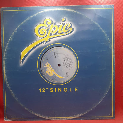 Bonnie Pointer – The Beast In Me