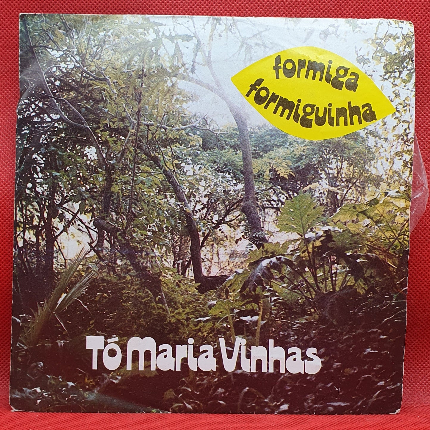 Tó Maria Vinhas – Formiga, Formiguinha