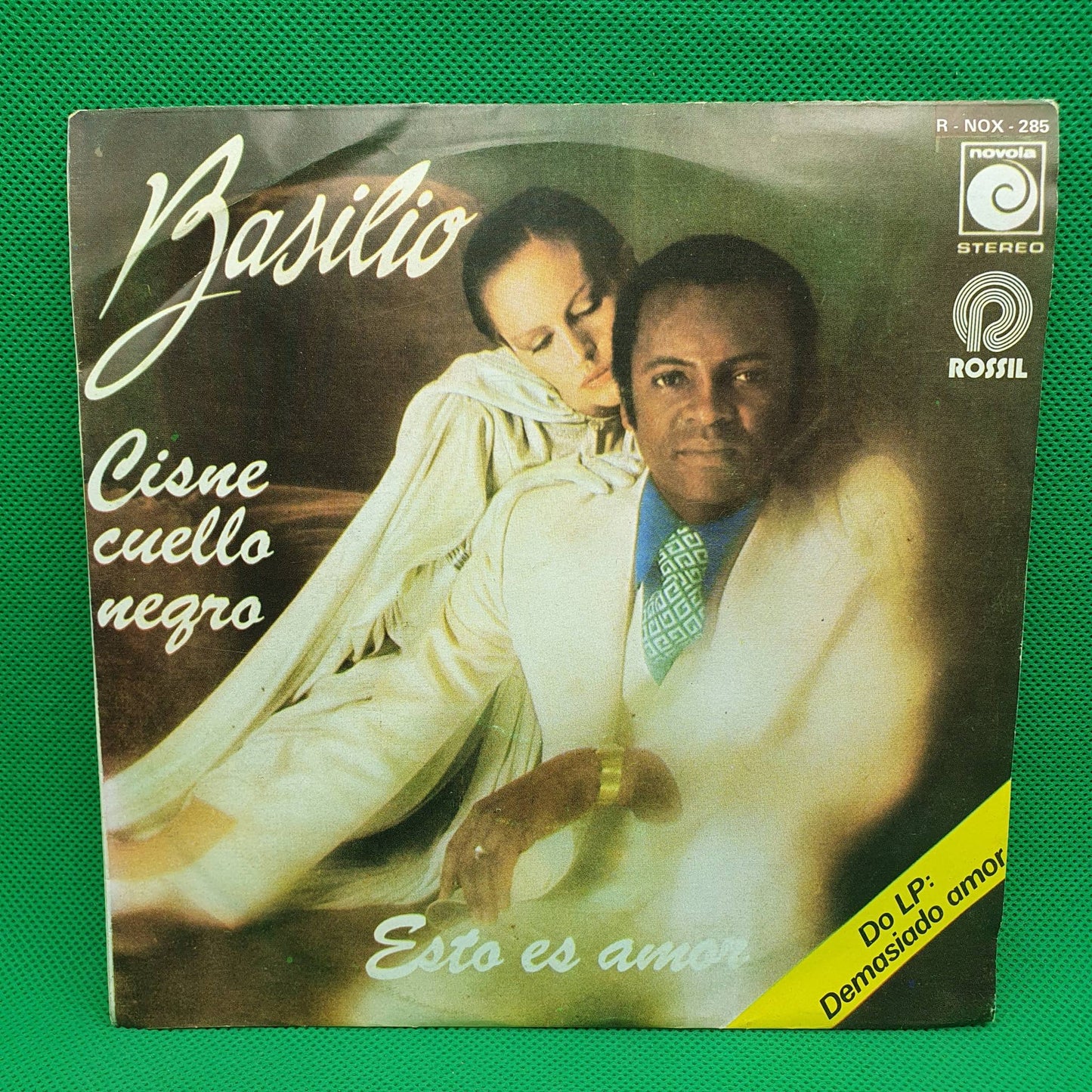 Basilio – Cisne Cuello Negro