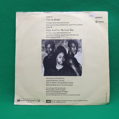 View From The Hill – I'm No Rebel