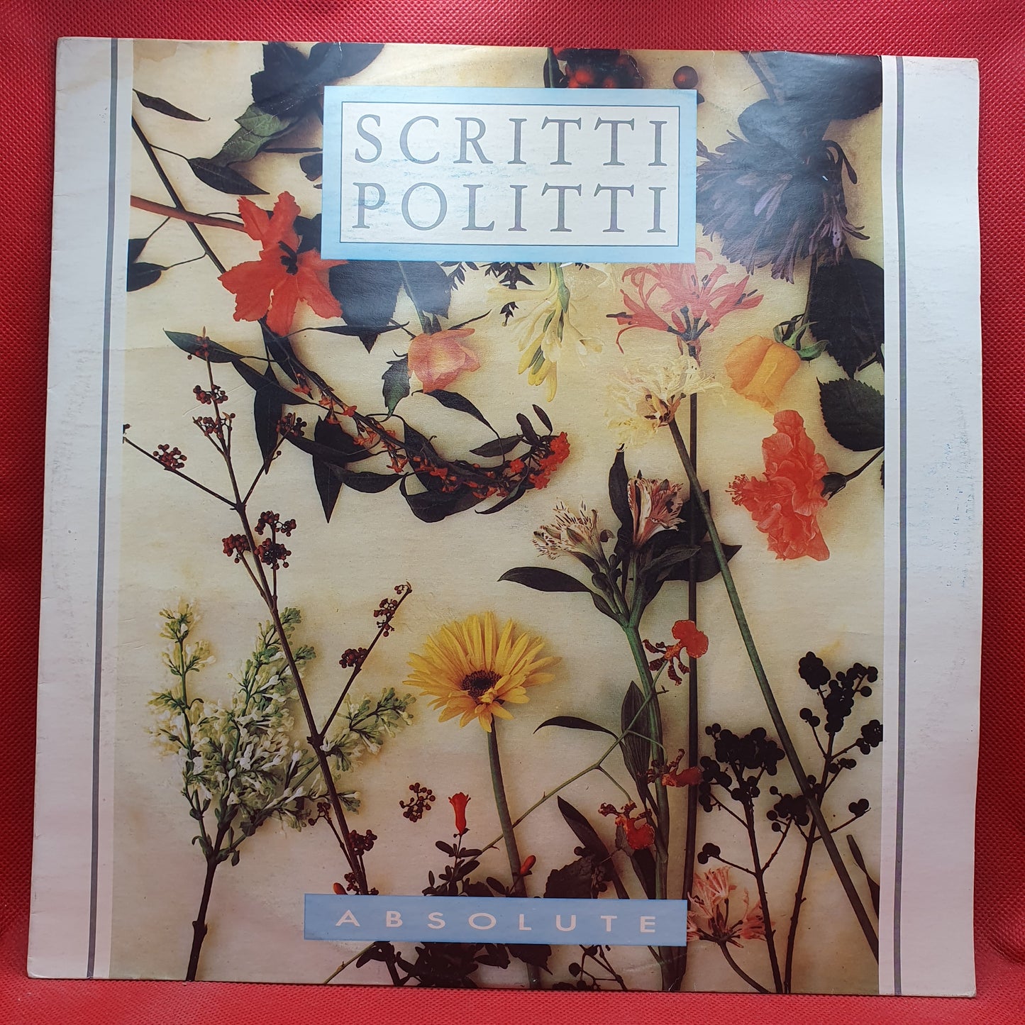 Albert Hammond ‎– Comprenderte 