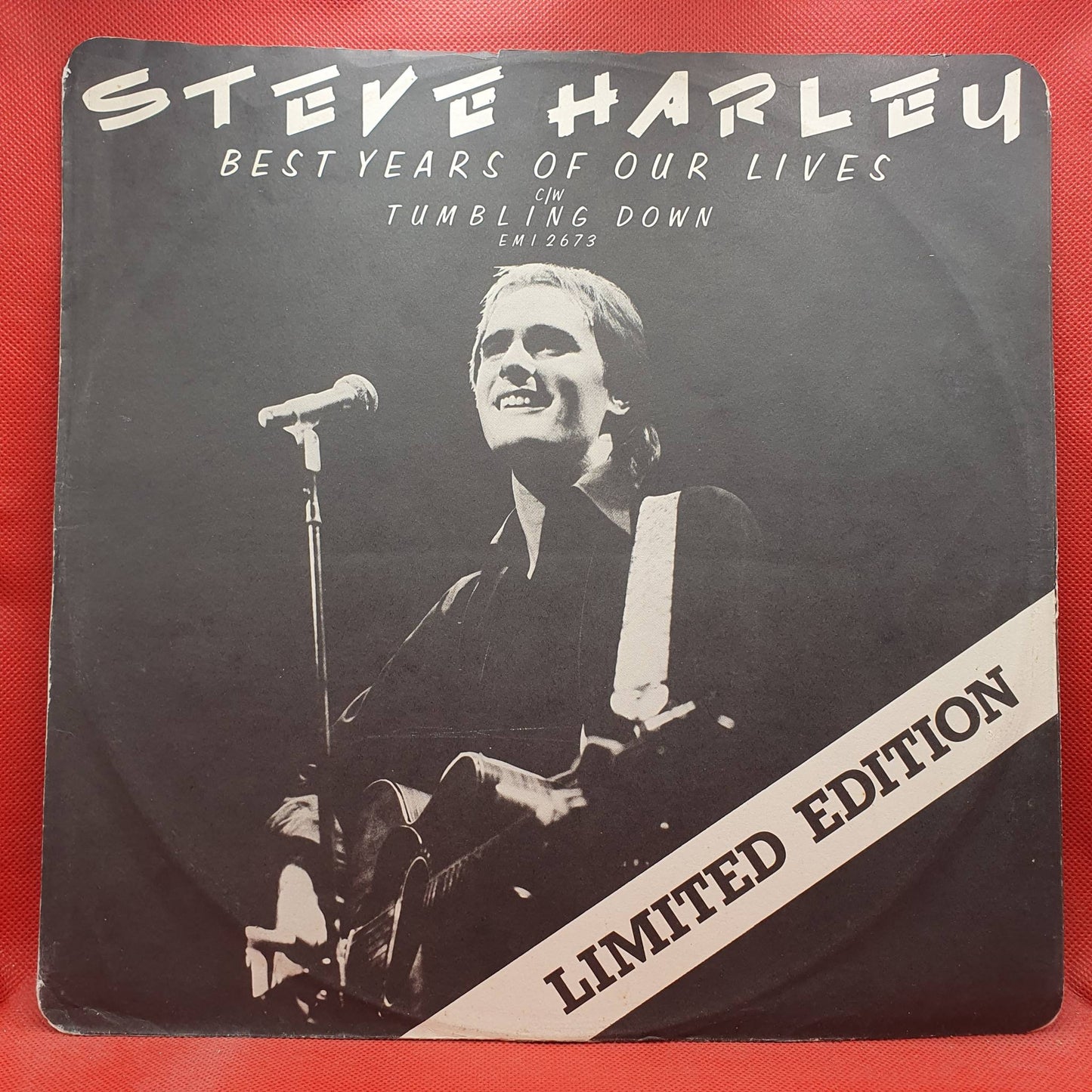 Steve Harley ‎– Best Years Of Our Lives