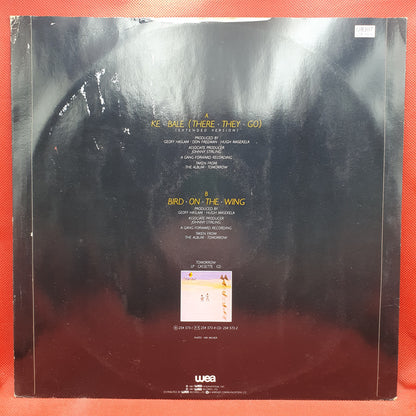 Albert Hammond ‎– Comprenderte 