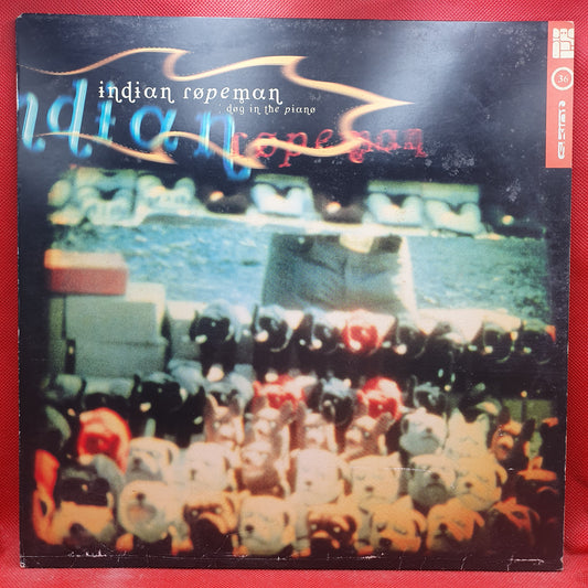 Albert Hammond ‎– Comprenderte 