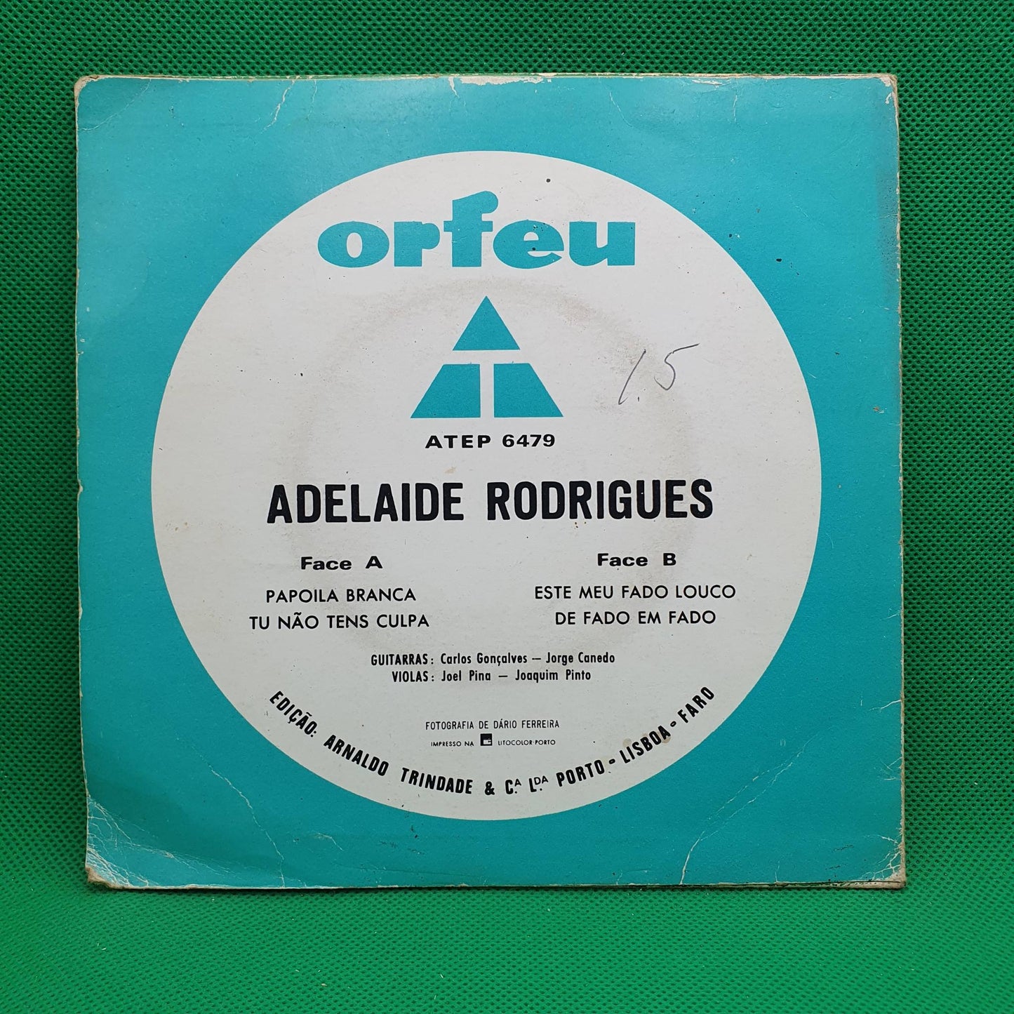 Adelaide Rodrigues – Papoila Branca