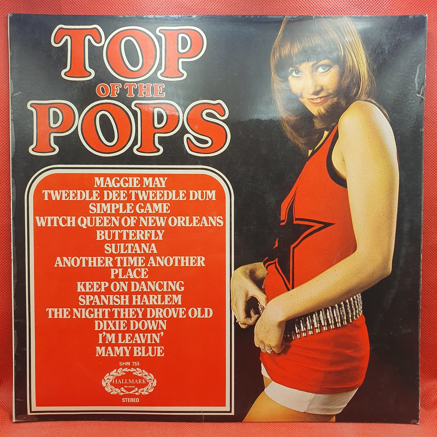 Unknown Artist ‎– Top Of The Pops Vol. 20