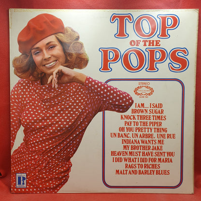 Unknown Artist ‎– Top Of The Pops Vol. 17