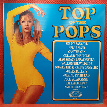 Unknown Artist ‎– Top Of The Pops Vol. 31