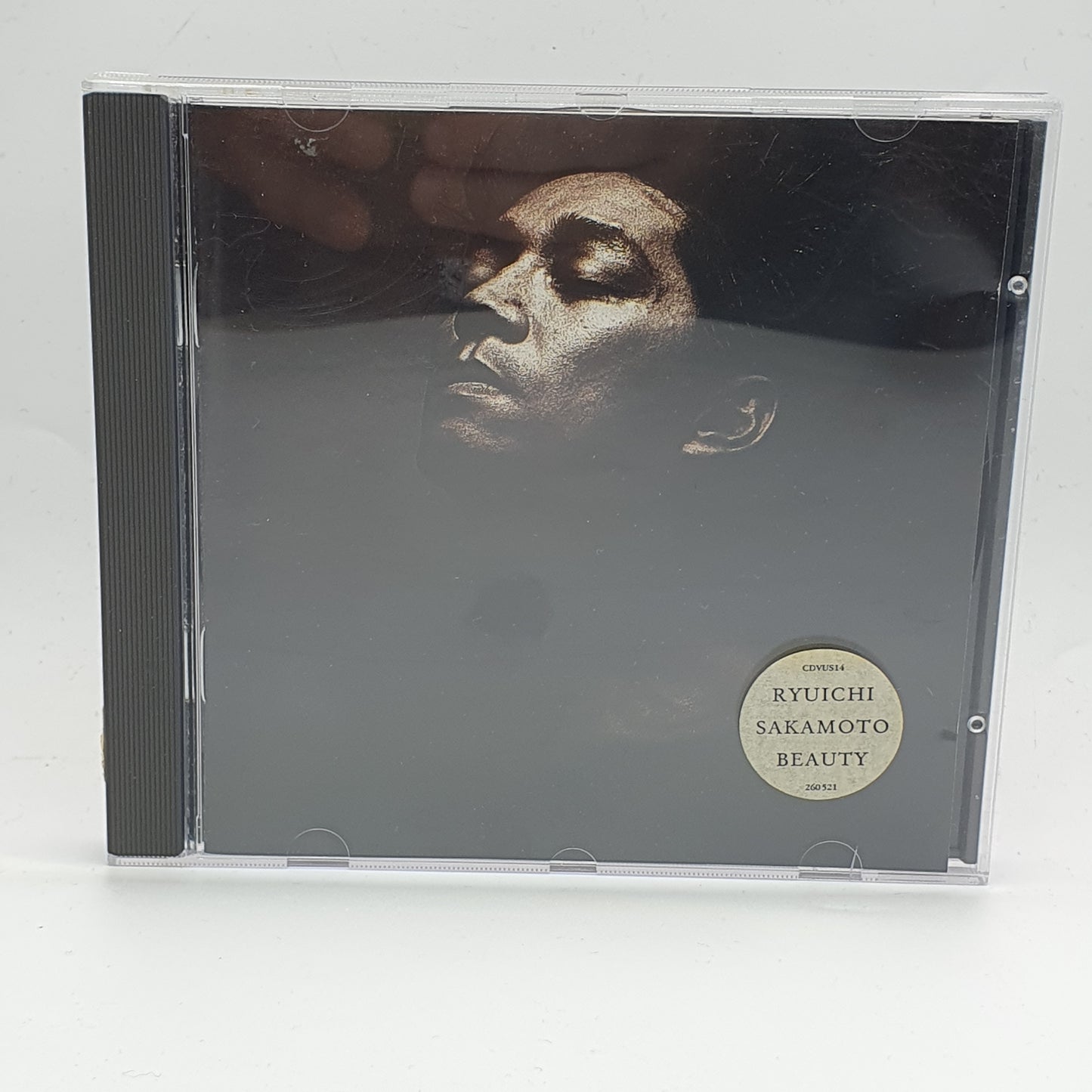 Ryuichi Sakamoto ‎– Beauty