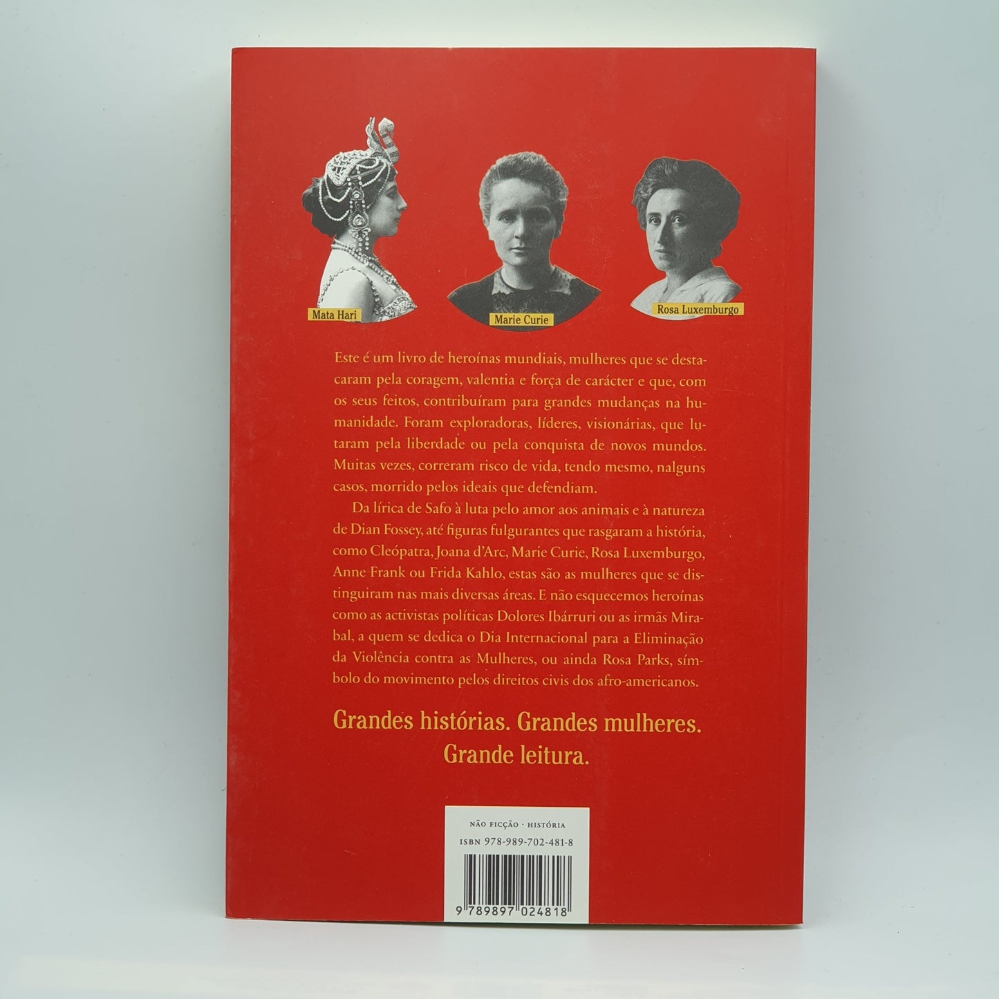 Maria João Medeiros - O Pequeno Livro Das Grandes Heroinas