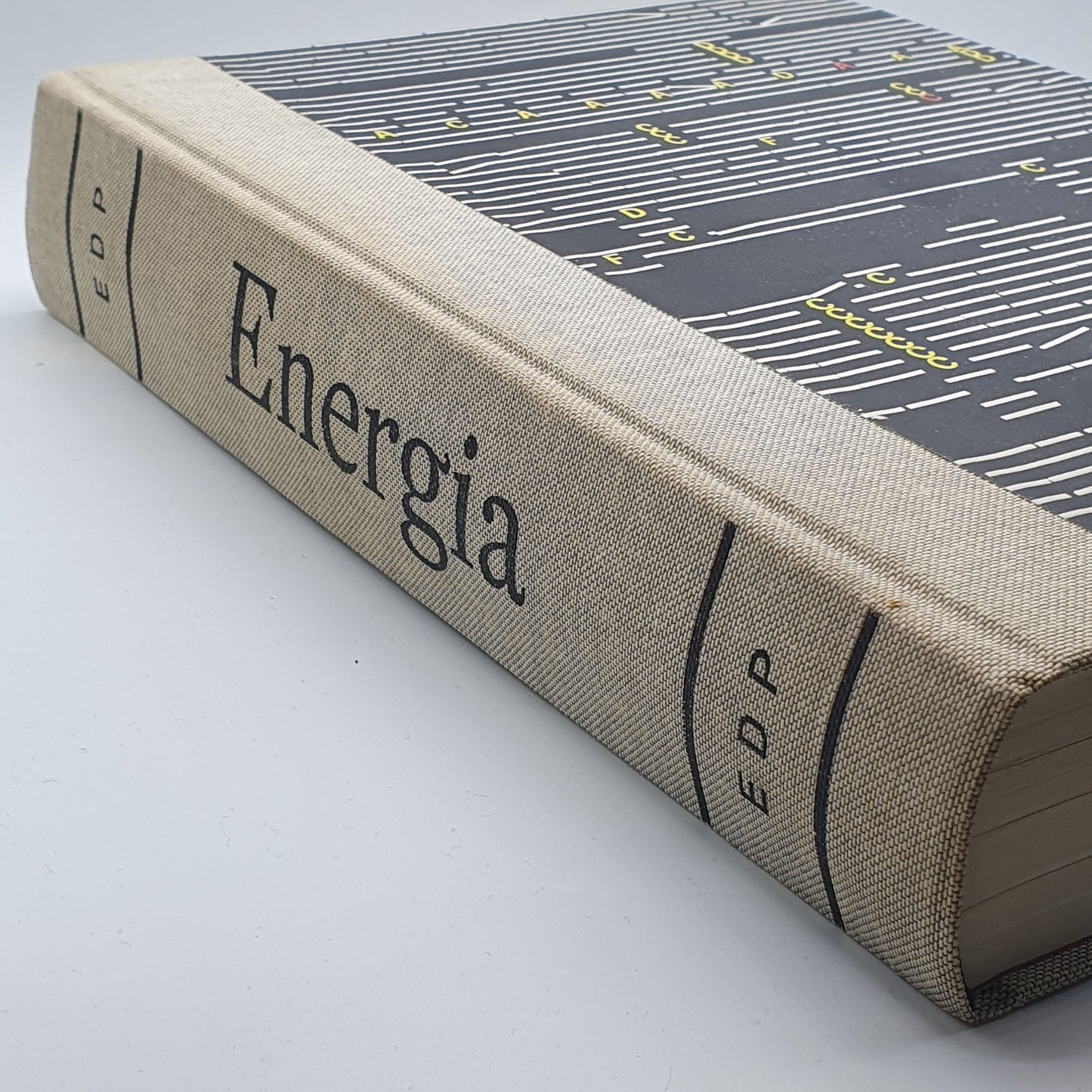 Teresa Loureiro - Energia EDP