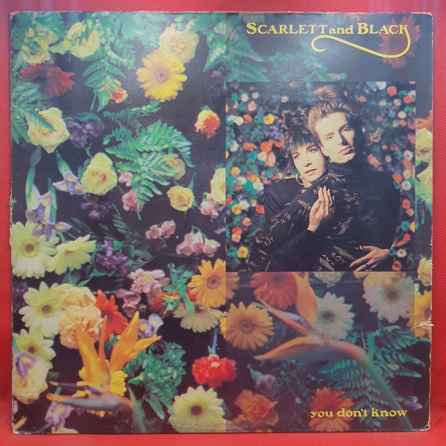 Scarlett & Black ‎– You Don't Know