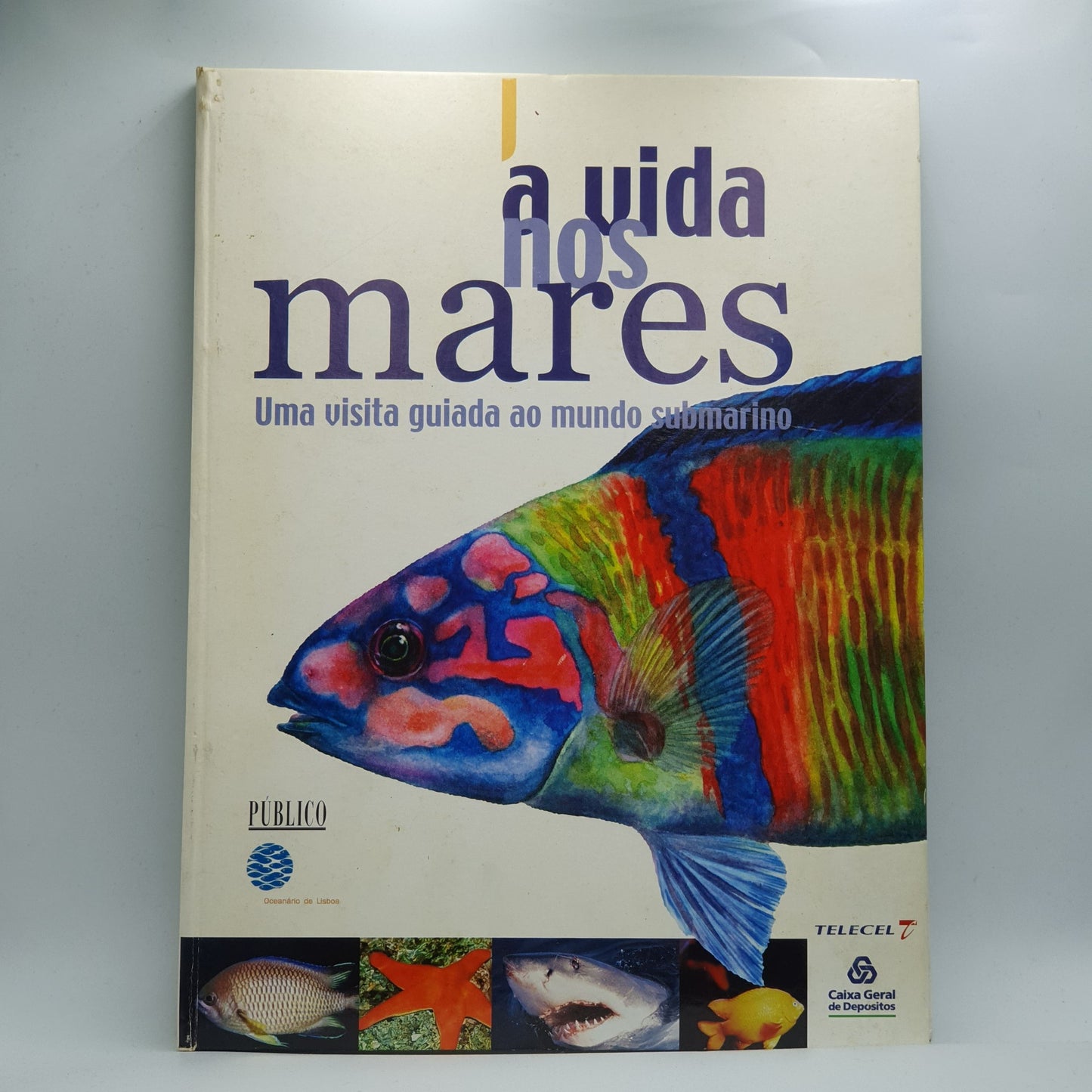 A Vida Nos Mares, Visita Guiada ao Mundo Submarino