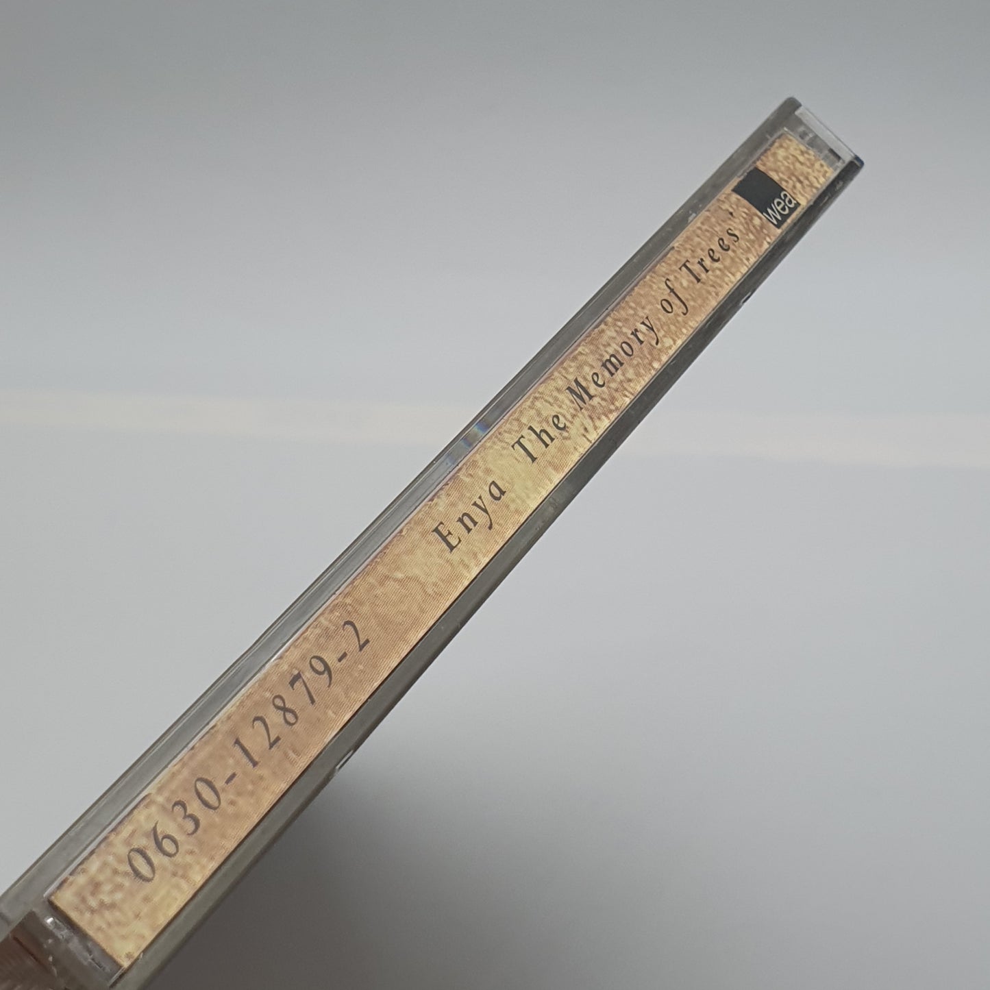 Enya – The Memory Of Trees