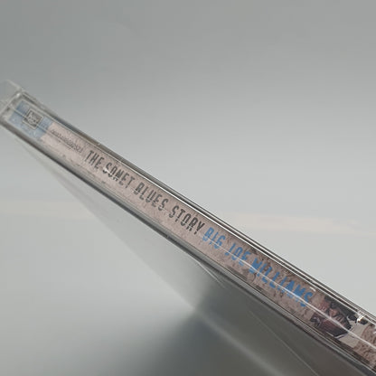 Big Joe Williams ‎– Big Joe Williams