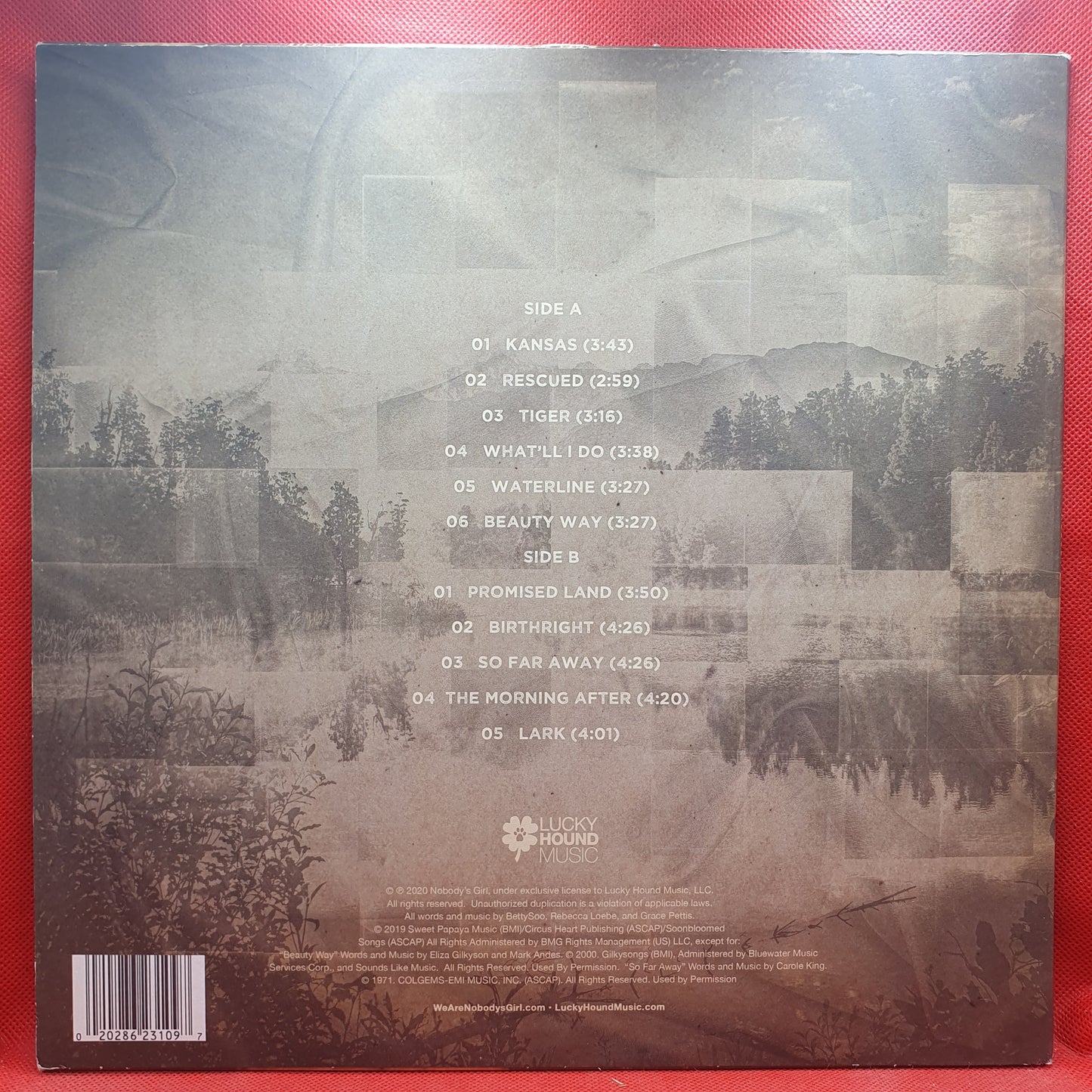 Nobody's Girl ‎– Nobody's Girl