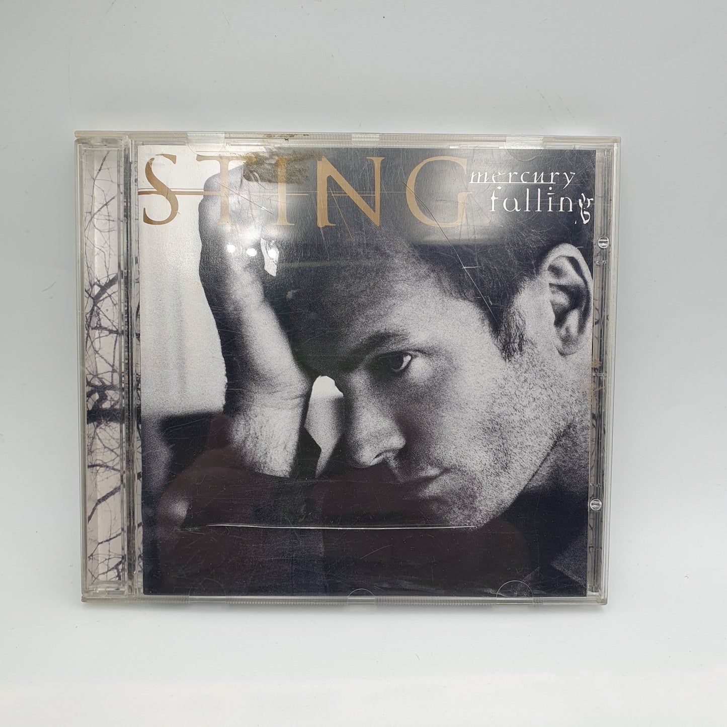 Sting ‎– Mercury Falling