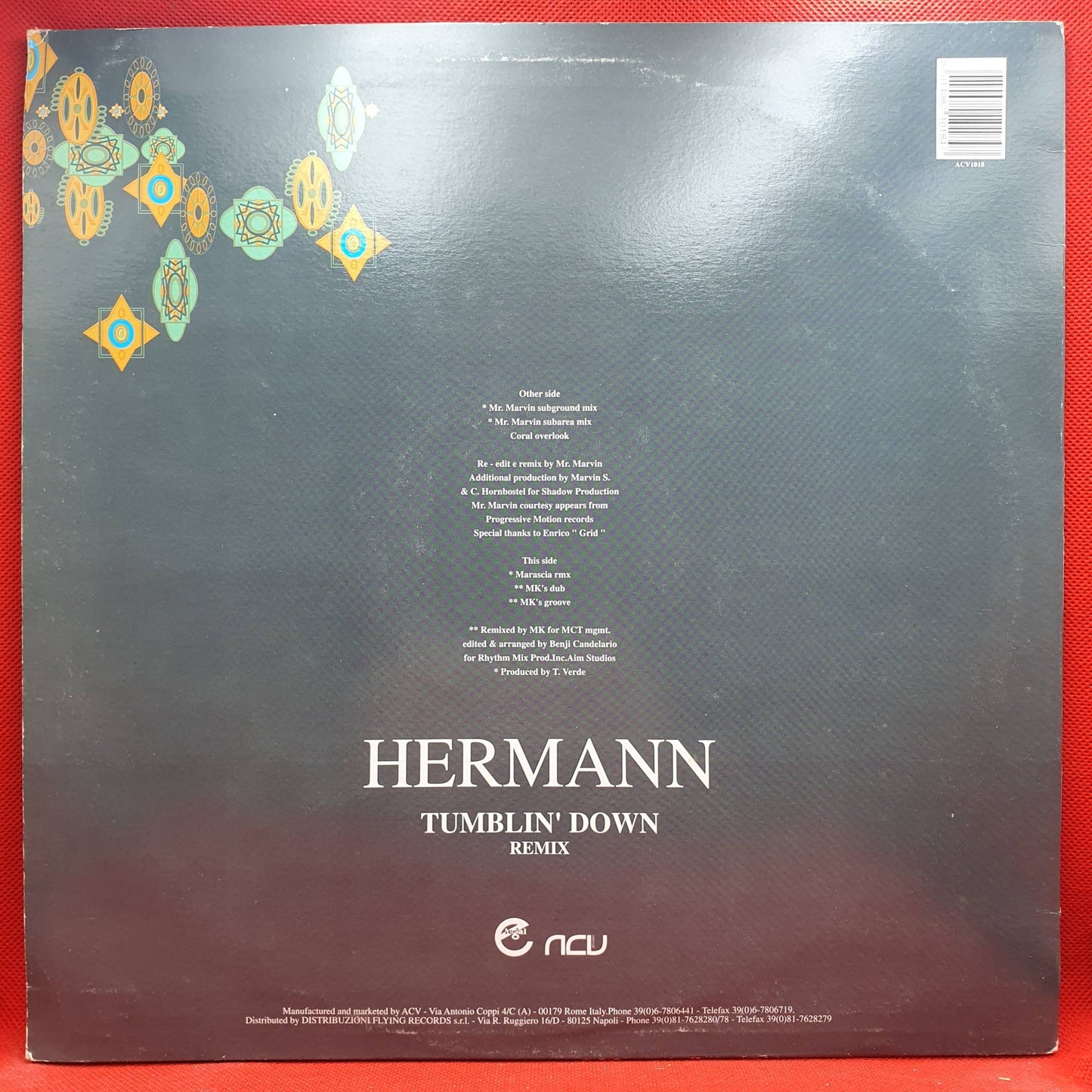 Hermann ‎– Tumblin' Down Remix