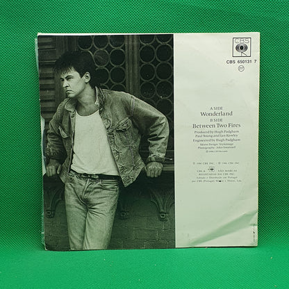 Paul Young ‎– Wonderland