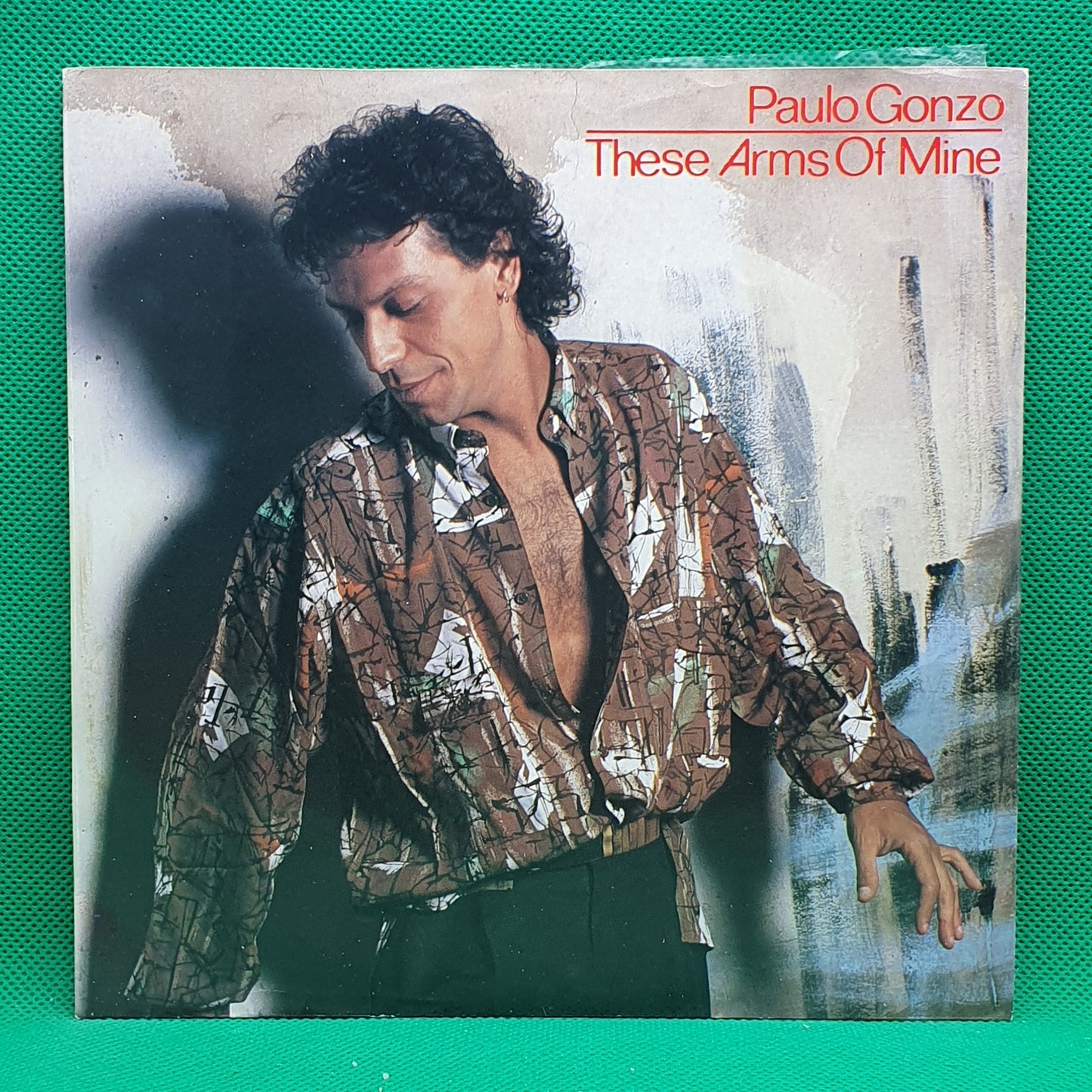 Paulo Gonzo ‎– These Arms Of Mine