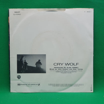 Albert Hammond ‎– Comprenderte 