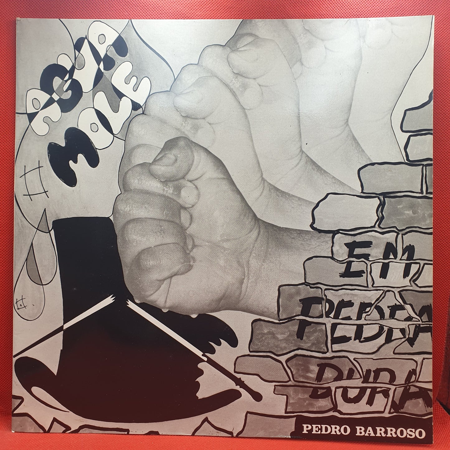 Pedro Barroso ‎– Água Mole Em Pedra Dura